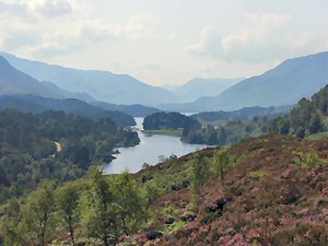 Picture of a view in Glen Affric