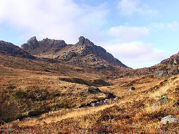 Picture of The Cobbler