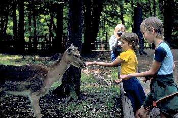 Picture of Armin and Imke feeding deer