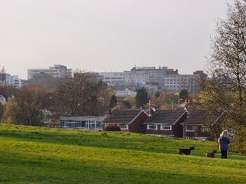Picture of Swindon town centre from The Lawn
