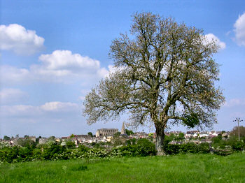 Picture of Malmesbury