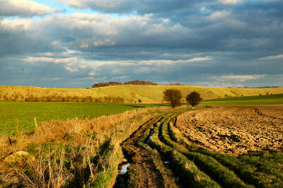 Picture of The Ridgeway looking towards Sugar Hill