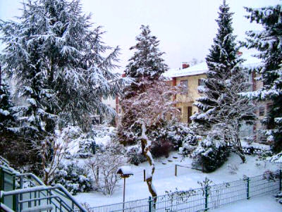 Picture of gardens covered in snow