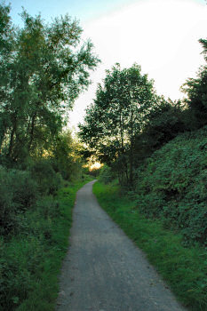 Picture of a footpath