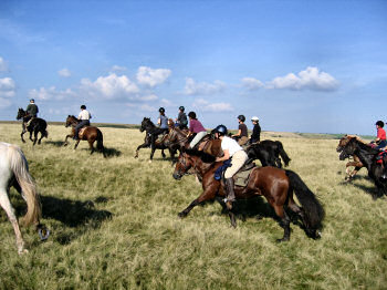 Picture of a group of riders with their horses in full gallop
