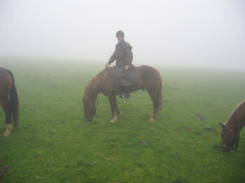 Picture of a horse and rider almost disappearing in the mist