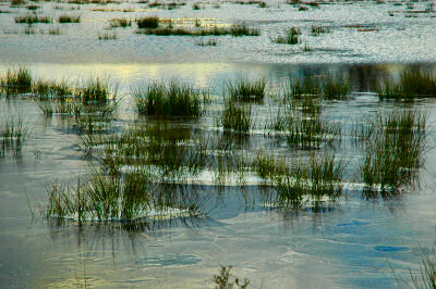 Picture of ice on a flooded field