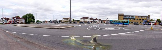 Picture of a whale on the Magic Roundabout. Allegedly.