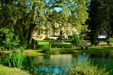 Picture of a beergarden with trees and a pond