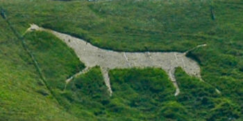 Picture of a white horse cut into a hillside