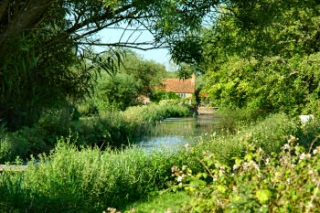 Picture of a house at a river in a lush green area