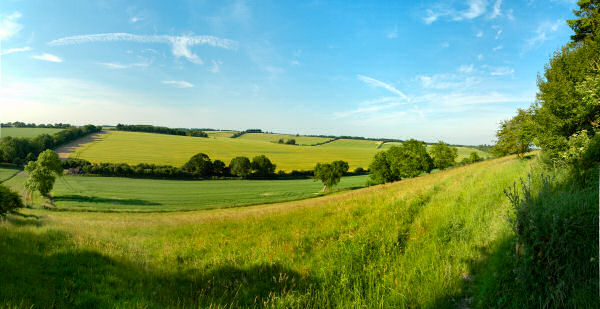 Picture of a view over a wide landscape in the mild early evening sun