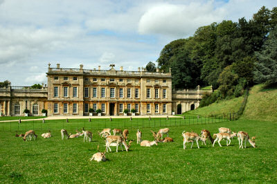 Picture of a stately home with deer grazing in front of it