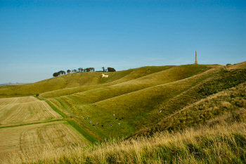 Picture of a down, a hilly landscape