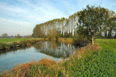 Picture of a river with a nice row of trees behind it