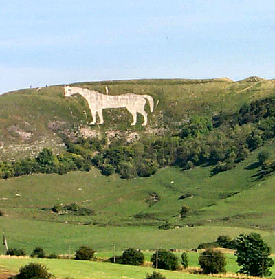 Picture of a chalk white horse