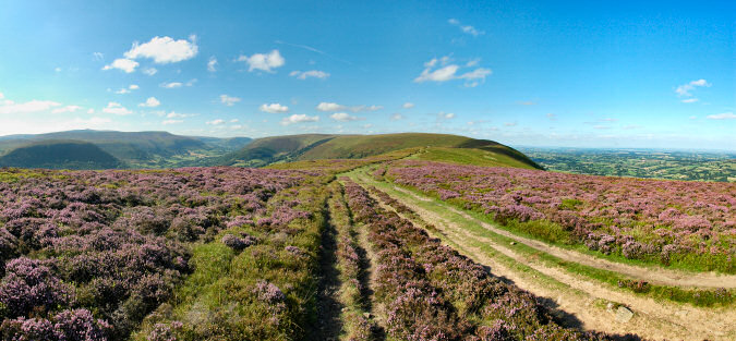 Picture of a panoramic view over a hill ridge with a valley on one side and a plain on the other