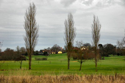Picture of a view over a golf course