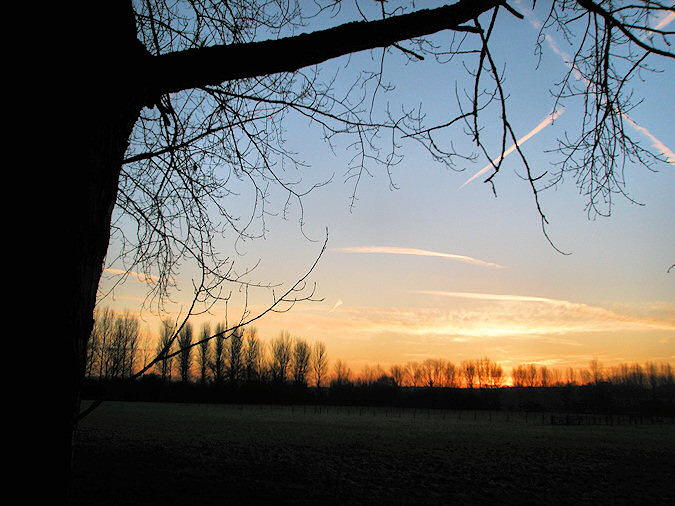 Picture of the early stages of a sunrise above a field