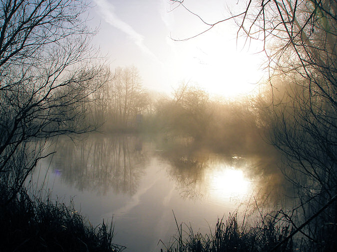 Picture of mist hanging over trees along the bend of a canal