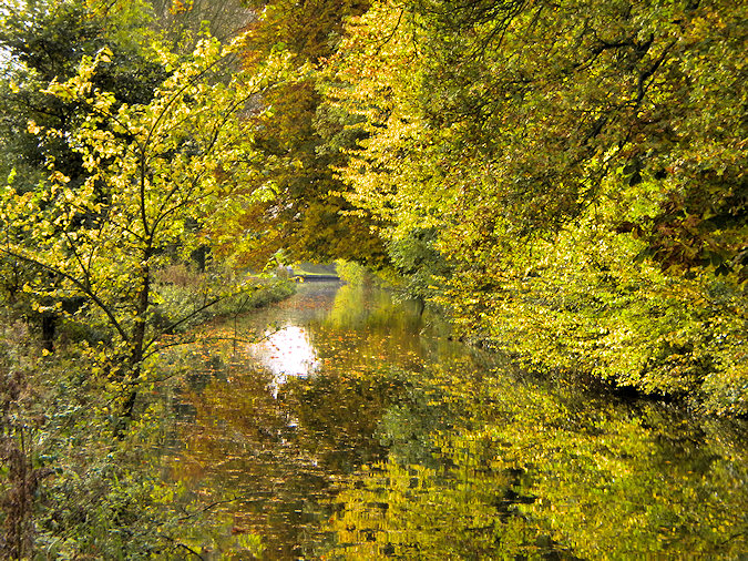 Picture of trees in autumn colour along a canal, reflecting in the water