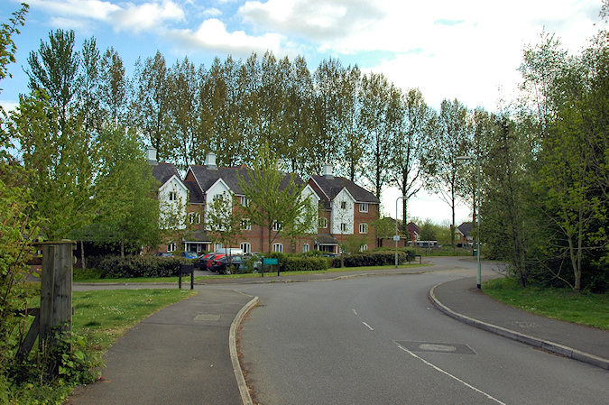 Picture of a block of flats with a line of tall Poplar trees behind it